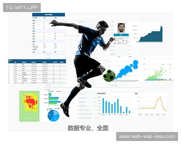 体育项目投资管理系统通过数据分析评估风险